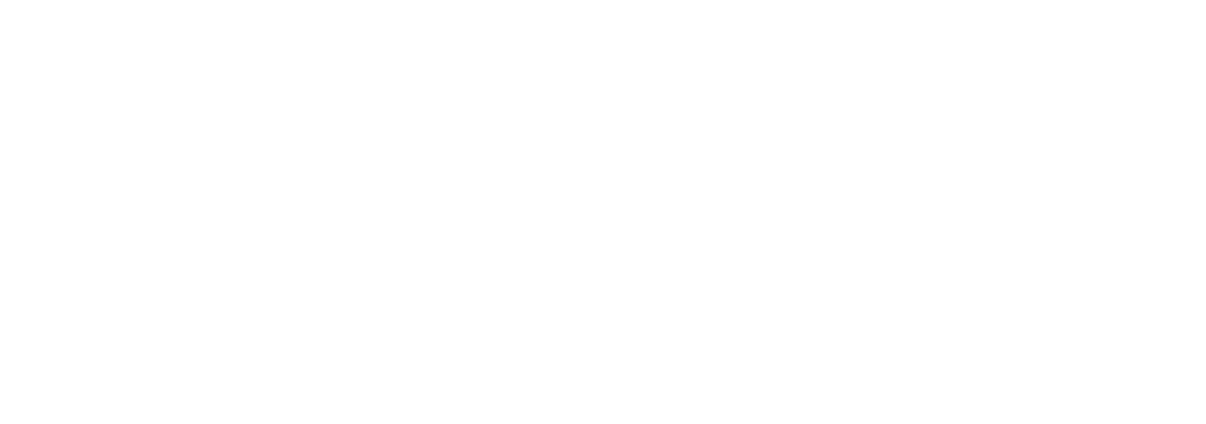 DCS Dog Paw